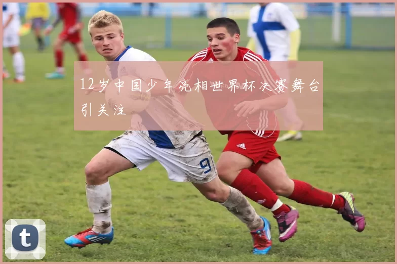 12岁中国少年亮相世界杯决赛舞台引关注